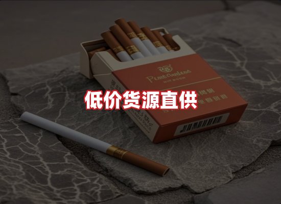 专业团队